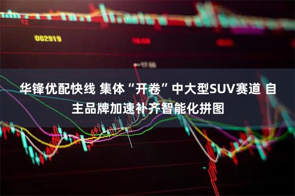 华锋优配快线 集体“开卷”中大型SUV赛道 自主品牌加速补齐智能化拼图