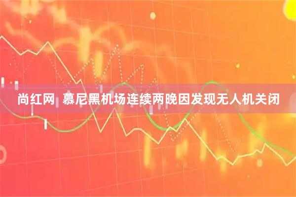 尚红网  慕尼黑机场连续两晚因发现无人机关闭